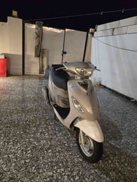 ماكس منغولي لبيع ختم واحد 07804161664