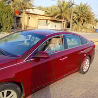 سوناته أمريكي • ٢٠١٥ • رقم كربلاء