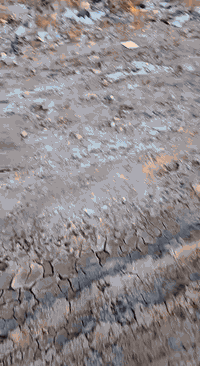 بسيكينة م8/2 • ١٢٠٠م • زراعي استثماري