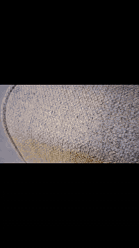 معمل دوشمه ابو علي  لتغليف وتصنيع جميع أنواع القنفات والمد العربي والخ...