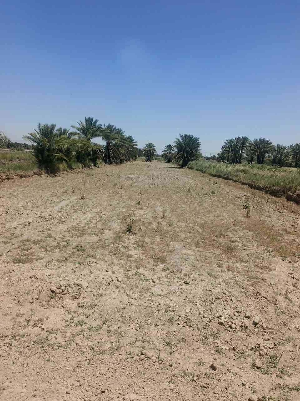 اسلام عليكم دونم ونص لبيع
طابو زراعي سند 25
تحويل بسم المشتري
الوجه 23 بسعر مناسب ماكان الرض الدسميه
***********              ***********
