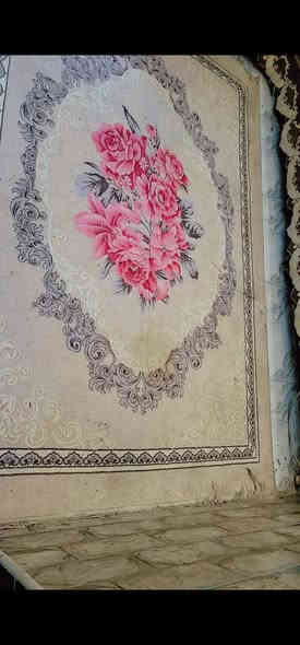 من رخصة الادمن المحترم الطيب سلام عليكم حبايب گلبي عندي غراض تصفيه مال بيت نضيفات ماستخدمات هواي وسعارهن مناسبه مكان بغداد مدينة الصدر قرب سوق الاولى  اكو توصيل ابو تكسي بكروته ***********
