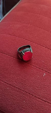 ياقوت احمر افريقي • كربلاء • بدون توصيل