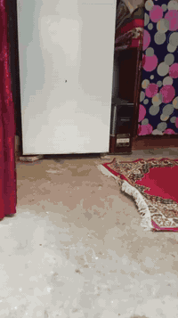 سلام عليكم بيت تجاوز شارع فلسطين على قناه ثلاث غرف استقبال جديده غرفه نوم فوك السطح  خدمات موجوده سعر 35بيه مجال ***********
