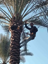 هذا باب رزقي اني مكربجي اي شخص عندة لقاح و تكريب و شلاع فسايل وتنضيف ا...