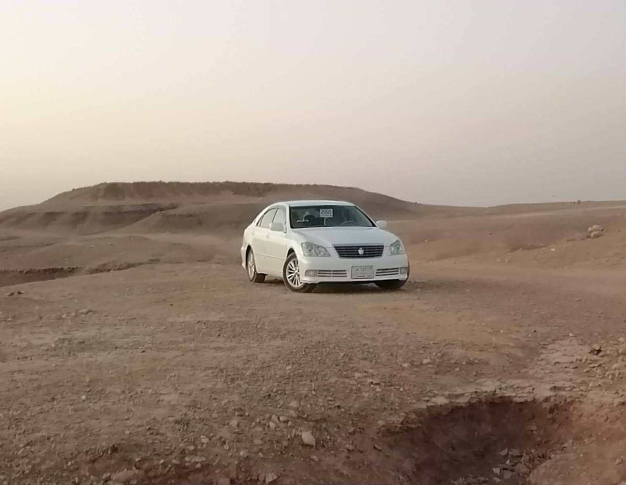 شاهینەی 182 ناو زەردی دوو دوگمەی موس  گێرو مەکینە گەورە بە گەورە سەحری 65گەڵاو محامەلەیەکی برایانە ***********
