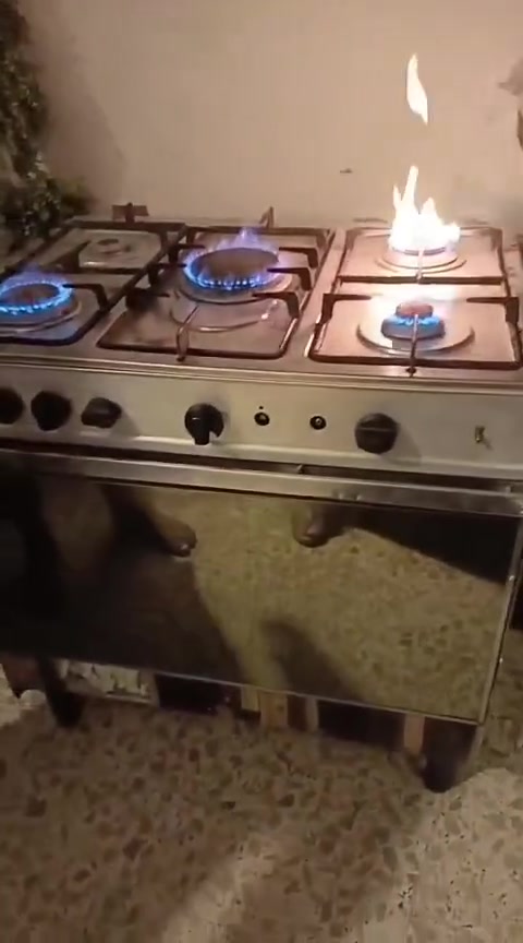 طباخات للبيع


**إذا كنت صاحب هذا الإعلان وتريد حذفه لأي سبب، رجاءا أرسل رسالة إلى الدعم الفني**