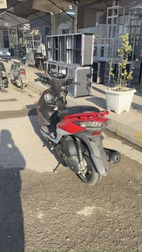 ياباني • كفر اصلي احمر • كربلاء