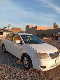 كورلا • ٢٠٠٧ • رقم كركوك