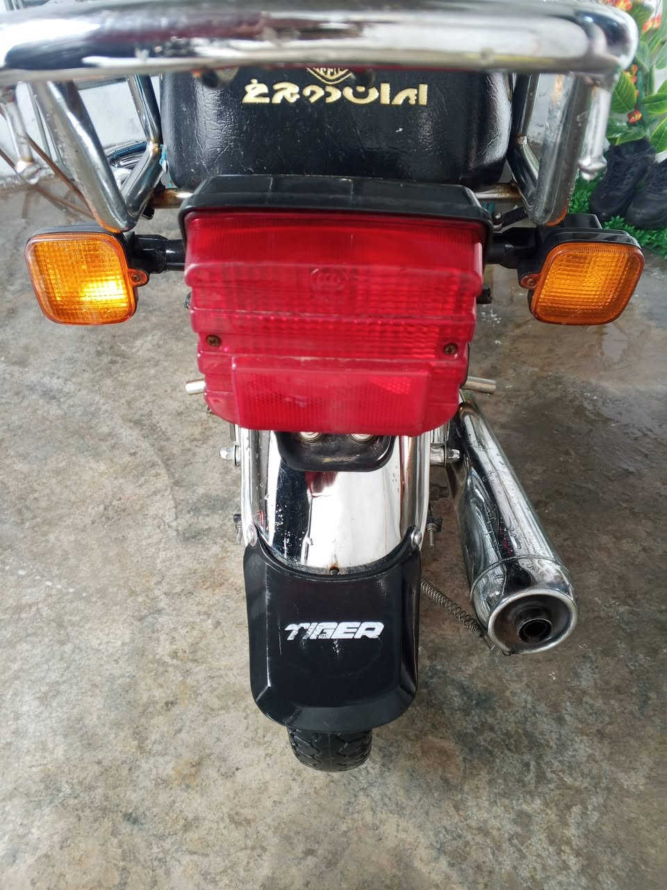 ماطور تايجر اي  عيب كهرباء شغاله ماطور حلو مابي اي نقص موديل 2020 سعره 425 وبي مجال قليل الشراي يختبر,,,***********
