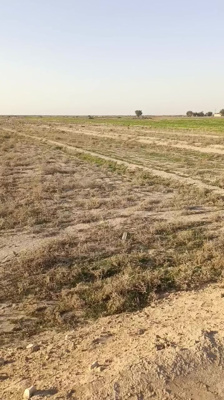 للبيع
دوانم زراعيه سند ٢٥ 
تحويل للمشتري
الموقع طريق البوراشد
وجه التبليط الرئسي قرابت ٣ دوانم 
للاستفسار
***********
***********واتس
