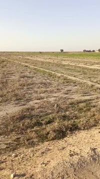 طريق البوراشد • سند ٢٥ • ٣ دونم