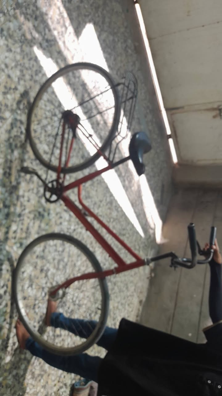 حجم ٢٨ سعر٤٠باسكل جديد
مكان شبانات بزل اول كنطرت القريشيين قرب كنطرت سلام


**إذا كنت صاحب هذا الإعلان وتريد حذفه لأي سبب، رجاءا أرسل رسالة إلى الدعم الفني**
