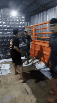 فحم اركيله اندنوسي  صقر الاسود. . نوعيه. ممتازه. عنوان سماوه. لمعلومات اتصال بهاتف. ***********.
