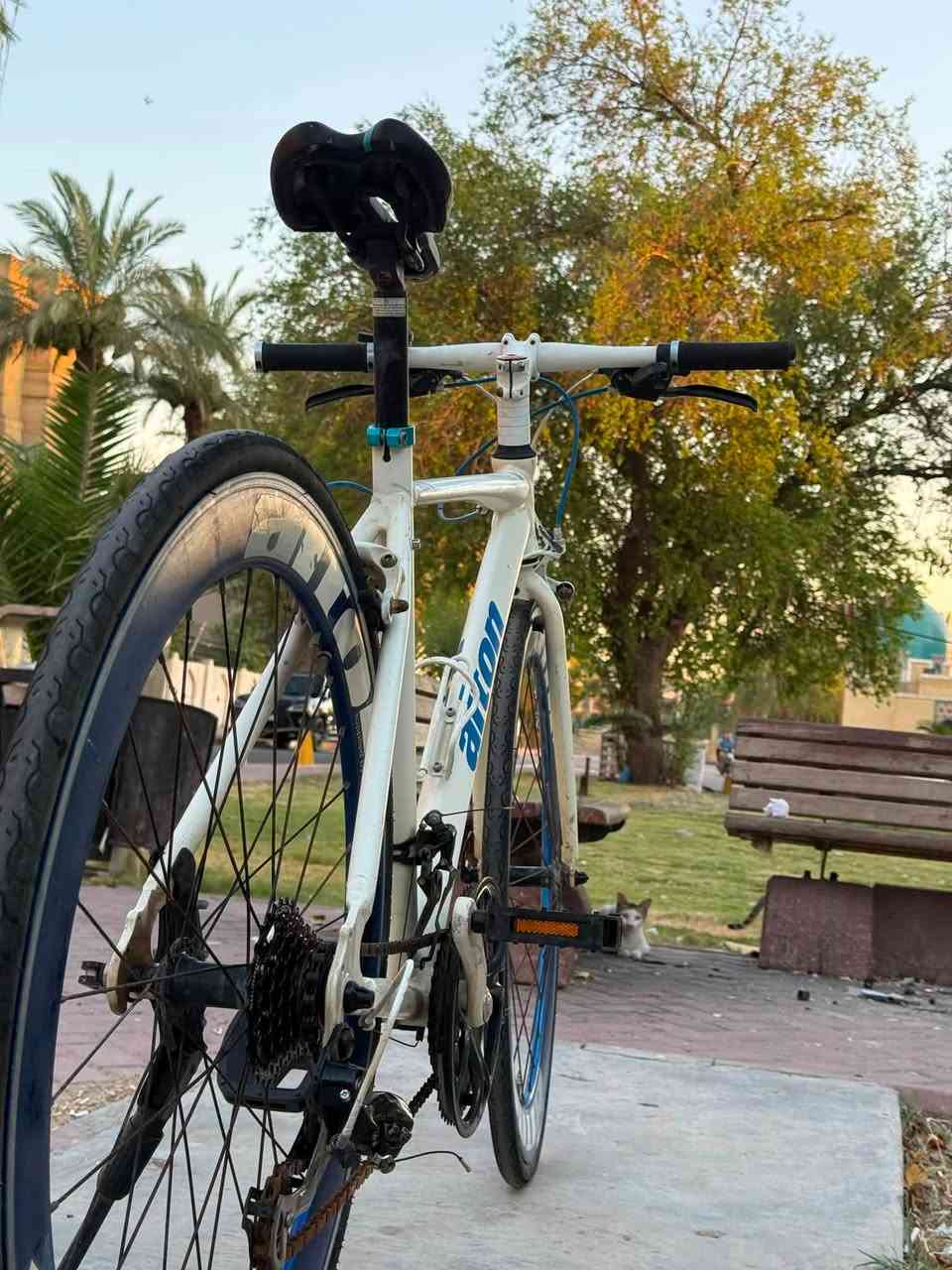 سلام وعليكم 
بايك من ماركه alton المعروفه 
بايك كسر حاويه جدا نضيف
البايك جاهز من كلشي 
فول المنيوم خفيف الوزن 
وياله المنيوم طبقتين
كير سستم SHMANO 
نمر 7.3 
حجم البايك ٢٨ 
يده كير حديثه دفع سحب 
بريكات سستم alton 
سعره 135 وبي مجال 
مكان بغداد الاعظميه المقبره الملكيه 
للستفسار اتفضل خاص او ***********
