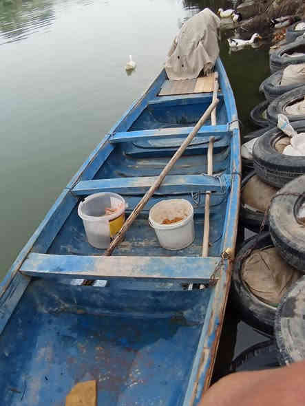 السلام عليكم مكينه وبلم للبيع ثنينهن &البلم نضيف مستعمل قطره ماي ماينطي الصول 13او14 ذراع مامتأكد منه  حلو ريض &المكينه نضيفه مامفتوحه جونسن 25 حلوه مثل ماشوف بل صور والفيديو 💵السعر 950 وبيهن مجال قليل 💵 لان الله شاهد مالت واحد مستعجل //العنوان/نجف قضاء المشخاب//للتواصل او الاستفسار الاتصال على الرقم أو مراسله الصفحه📞***********📞📞//‪📞📞0777 869 1350‬‏
