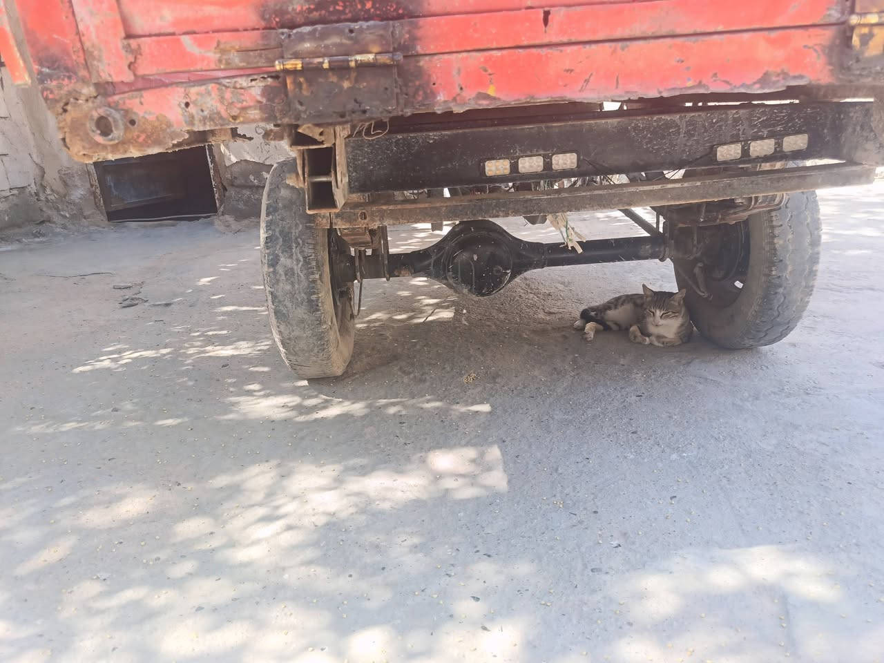 ستوت للبيع سعر 800 مكاني بصره سفان***********
