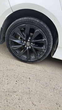 للبيع او مراوس تخم ويل حجم 18 كورلا  07854700331