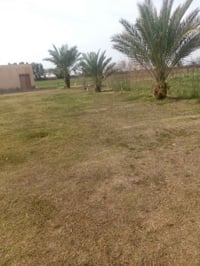 ارض زراعية • ٩ دونم • بيت جاهز