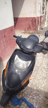 دولفين • شغالة • كهربائيات كاملة