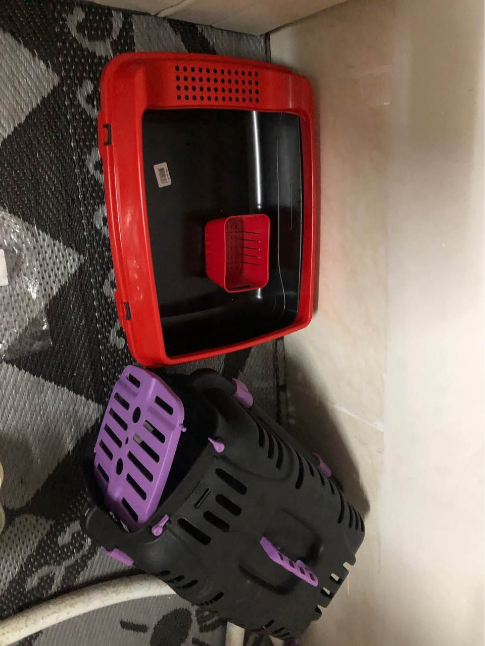 اشياء قطط  جديدة ٥٠ الف مع التوصيل داخل اربيل
ئەشیای پشیلە نوێ ٥٠ هەزار
بە گەیاندنەوە بۆ ناو هەولێر أربيل, العراق


**إذا كنت صاحب هذا الإعلان وتريد حذفه لأي سبب، رجاءا أرسل رسالة إلى الدعم الفني**