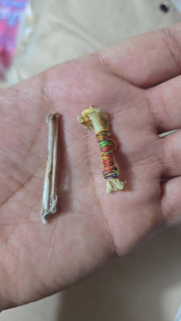 السلام عليكم توفر عظم الهدهد الأصلي بيه فوائد جدا كثيره فوائد عظم الهدهد
للبركه للرزق تسهيل الامور للمقبوليه طرد نحوسات فتح الامور المتعسره عقد السان للطاعه  وايضا ويا حجاب تحصين من الحسد والعين والنفس والتابعه والي أحلامه موزينه  مفيد جدا للي عنده هاي الأعراض والكثير من الفوائد الاخرئ للحجز تواصل خاص


**إذا كنت صاحب هذا الإعلان وتريد حذفه لأي سبب، رجاءا أرسل رسالة إلى الدعم الفني**
