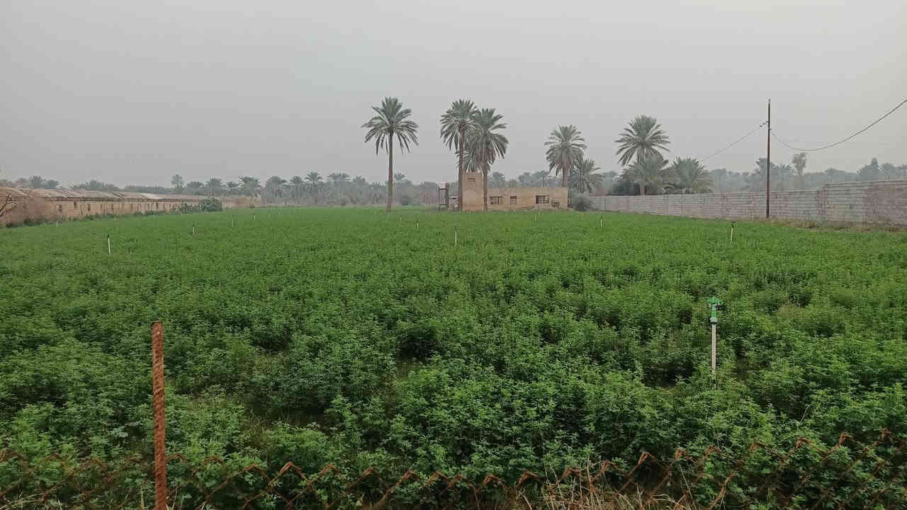 سلام عليكم خمسة دونم البيع طابو صرف
خدمات كامله ماء كهرباء تبليط 
العنوان المدائن منطقة اتويثه الاستفسار اتصال برقم ***********
