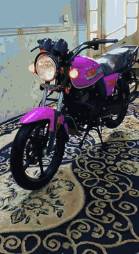 ديون • مديل 2023 • كفاله عامه