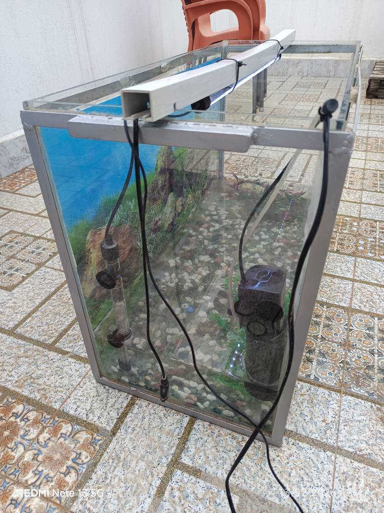 حوض سمك كبير 80 سنتيمتر و ارتفاع 60 سنتيمتر مع اطار حديد مع ملحقاتها كامل بدون سمك سعر 50 الف كركوك, العراق


**إذا كنت صاحب هذا الإعلان وتريد حذفه لأي سبب، رجاءا أرسل رسالة إلى الدعم الفني**