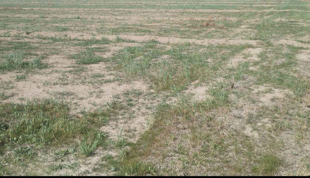 السلام عليكم
ارض زراعية للبيع 
المساحة 140 دونم 
المكان واسط الزبيديه 
قانون ٣٥ 
ماء سكي متوفر 
ماطور كهرباء ٥٠ حصان 
كهرباء متوفره 
ماء اساله متوفر 
***********
