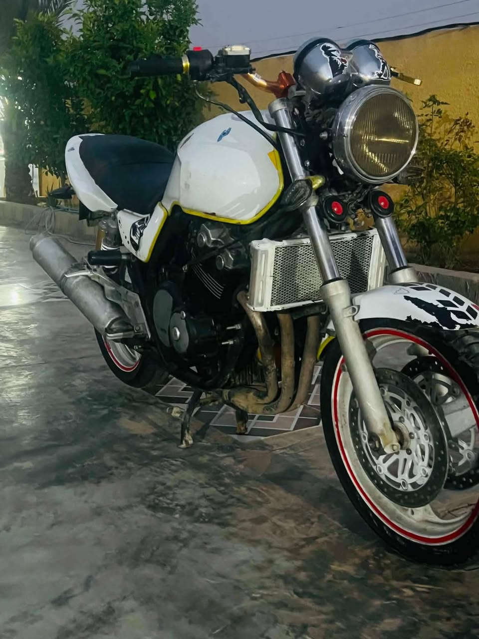سلام عليكم CB400
هذا الماطور اللي بالصورة هو *هوندا CB400 Super Four*، ويسموه بالعراق "سي بي فور" أو "400 هوندا". وحش ياباني قديم بس بعده هيبة.

### *تفاصيل الماطور من الصورة:*

1. *الموديل*: Honda CB400SF Super Four  
   شكله موديل 1995 - 2003 تقريباً، لأن اللايت الأمامي دائري كبير والعدادات اثنين فوك.
   
2. *المحرك*:  
   - 4 سلندر، 399cc، تبريد ماء.  
   - قوة تقريباً 53 حصان، صوته مميز لأن 4 سلندر.  
   - بي تقنية *VTEC* إذا كان موديل 1999 وفوك، يعني يفتح 4 ولفات إضافية بعد الـ 6300 RPM ويصير صوته يخبل.

3. *الشكل*:  
   - *لون أبيض مع خط أصفر*، بس مبين مصبوغ تعديل مو بلاده.  
   - *لايت دائري كبير* كلاسيكي + ساعتين فوك للعدادات وعليهم ستيكرات.  
   - *راديتر ماء* كدام المحرك، ولذلك حجمه كبير.  
   - *إكزوست معدل*، شكله صوته عالي.  
   - *ويلات بيها خط أحمر*، ودرع الجاملغ الأمامي بي رسمة جمجمة.  
   - *كرسي قطعتين* أسود وأبيض، رياضي.

4. *التعديلات اللي مبينة*:  
   - هاندل بار معدل ذهبي.  
   - كليجات ولايتات إضافية حمر.  
   - ستيكرات على التانكي والجاملغ.  
   - حمالة جانبية للأشياء.

### *مميزاته:*
- *اعتمادي*: محرك الـ 400 مال هوندا يمشيك 100 ألف كيلو إذا تهتم بالدهن.  
- *سريع*: يجيب 180 كم/س مرتاح، والتسارع ماله قوي.  
- *قطع غياره متوفرة* بالعراق نسبياً، خاصة بغداد والبصرة.  
- *وزنه متوسط* 170-180 كغم، يصلح للمبتدئين والخب واسمع صوت الـ VTEC يفتح. وانتبه من الورق مالته لأن هواي تجي تجميع.
متواجد فيس 
رقم الهاتف ***********
رقم الواتساب ***********
سعر الوحش مليون و100وبي مجال لطيبين
