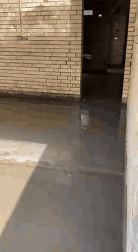 سلام عليكم ورحمه الله وبركاته حنه جماعه الصب اليدوي الي عنده ارضيه رباط تصليطه صطح حنه بلخدمه ***********
