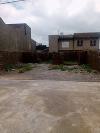 هيكل • ٢٢٥م • حي الشهداء الجديدة