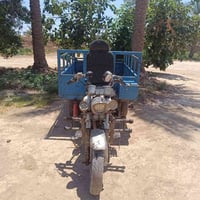 ستوته • دايوان • شهربان