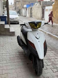 السلام عليك ماكس ثعلب للبيع  الدراجة رمبه صار سبوع من نزلتها (اكزوز كل...