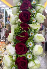 ورد امتار للبيع سعر المتر 50 الف ‭0776 389 9936‬