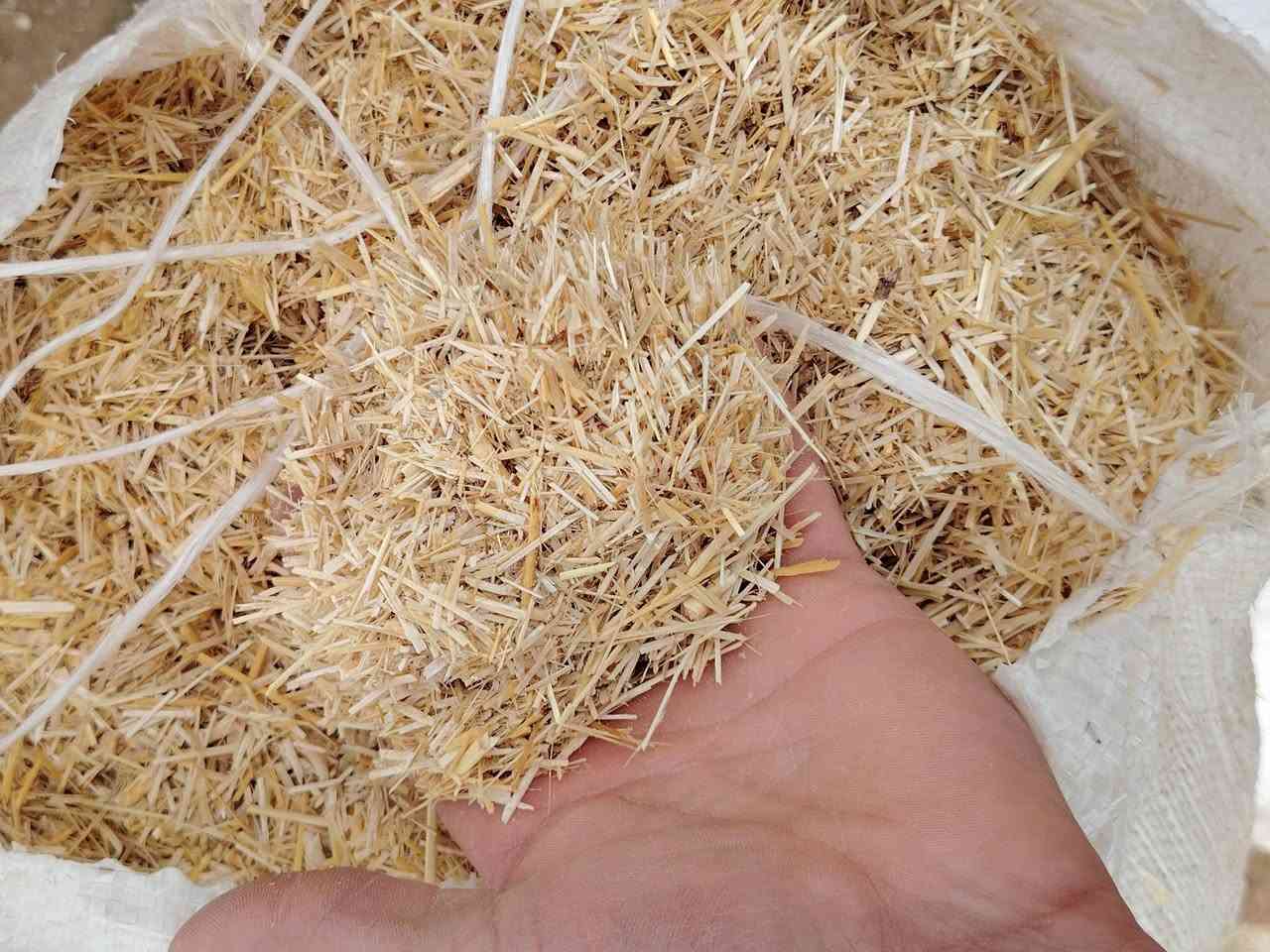 السلام عليكم اخوان متوفر تبن ابيض وناعم مثل ما موضح بالصورة سعر الزوج 4500 جيس ابو 60 شرط تبن درجه اولى
للاستفسار
***********
#ادمن وافق
