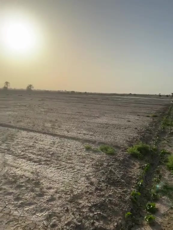 السلام عليكم للبيع دونم زراعي طابو 25 مداور بالتسجيل  العقاري واجه 50 م كامل الخدمات  تبليط كهرباء اسالة ماء سقي بصفه نهر للسقي العنوان الشافعية خلف حي الموظفين يبعد عن شارع دبوانية نجف 1.5 كيلو
***********
