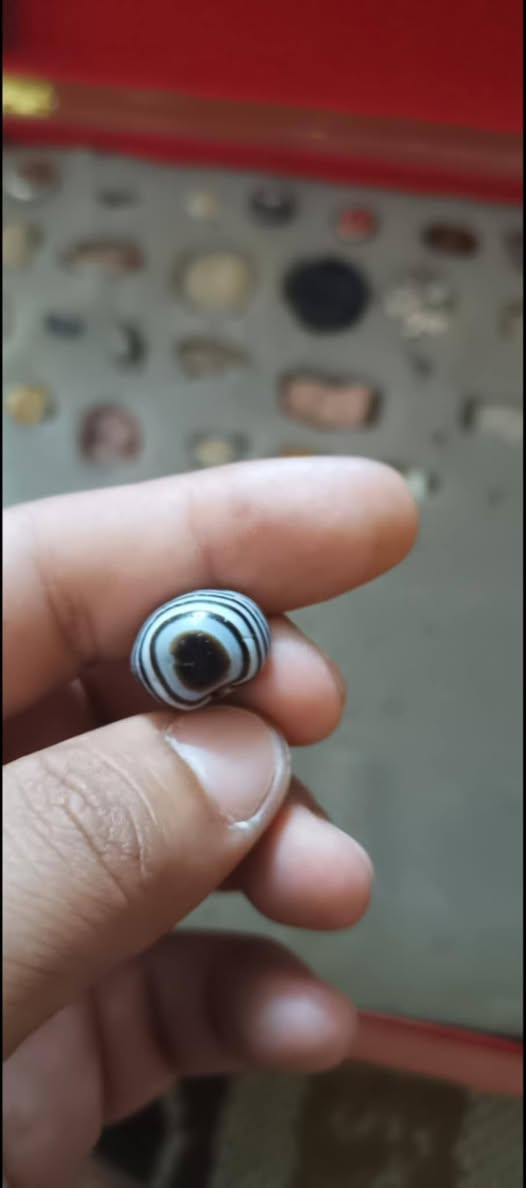 الجزع الاصيل كاعنه الطيبه 
صياغه المبدع الصائغ علي بمبع الكاظمي 
لعيونكم جميعا


**إذا كنت صاحب هذا الإعلان وتريد حذفه لأي سبب، رجاءا أرسل رسالة إلى الدعم الفني**