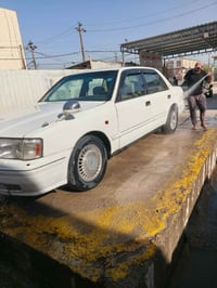 راس ثور • نظيفه • النجف