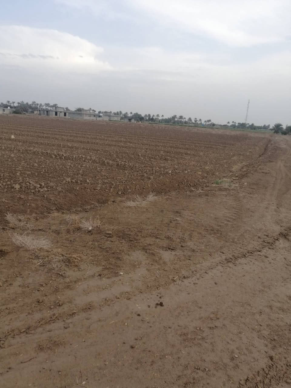 مكلف بالنشر 
السلام عليكم ورحمة الله وبركاته
أرض للبيع مساحتها 7 دوانم،
نوع العقد عقد 35 وجاري العمل على تجديده.
📍 العنوان الرضوانية  قرب ملعب الجوهره .
للاستفسار والتواصل:
📞 ***********
📞 ***********
**البيع مباشر من المالك
