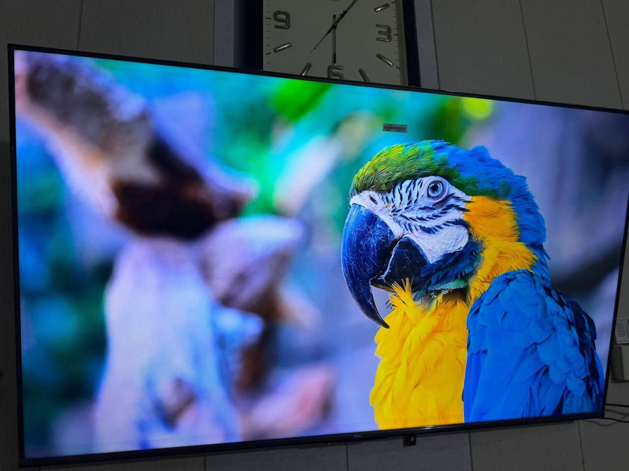 السلام عليكم
شاشه TCL فئه T6C حجم 55 كلش راقيه حجم البارحه اشتريتها ظمان ٣ سنوات

صار عندي ضرف واريد ابيعها صارت علي ب٥٠٠ فول مواصفات صوره خرافيه وصوت راقي بالحقيقه احلا بهواي

 رحمه لوالديكم لحد يكسر بالسعر مو شراي اعبر المنشور 

العنوان الشعب ***********
