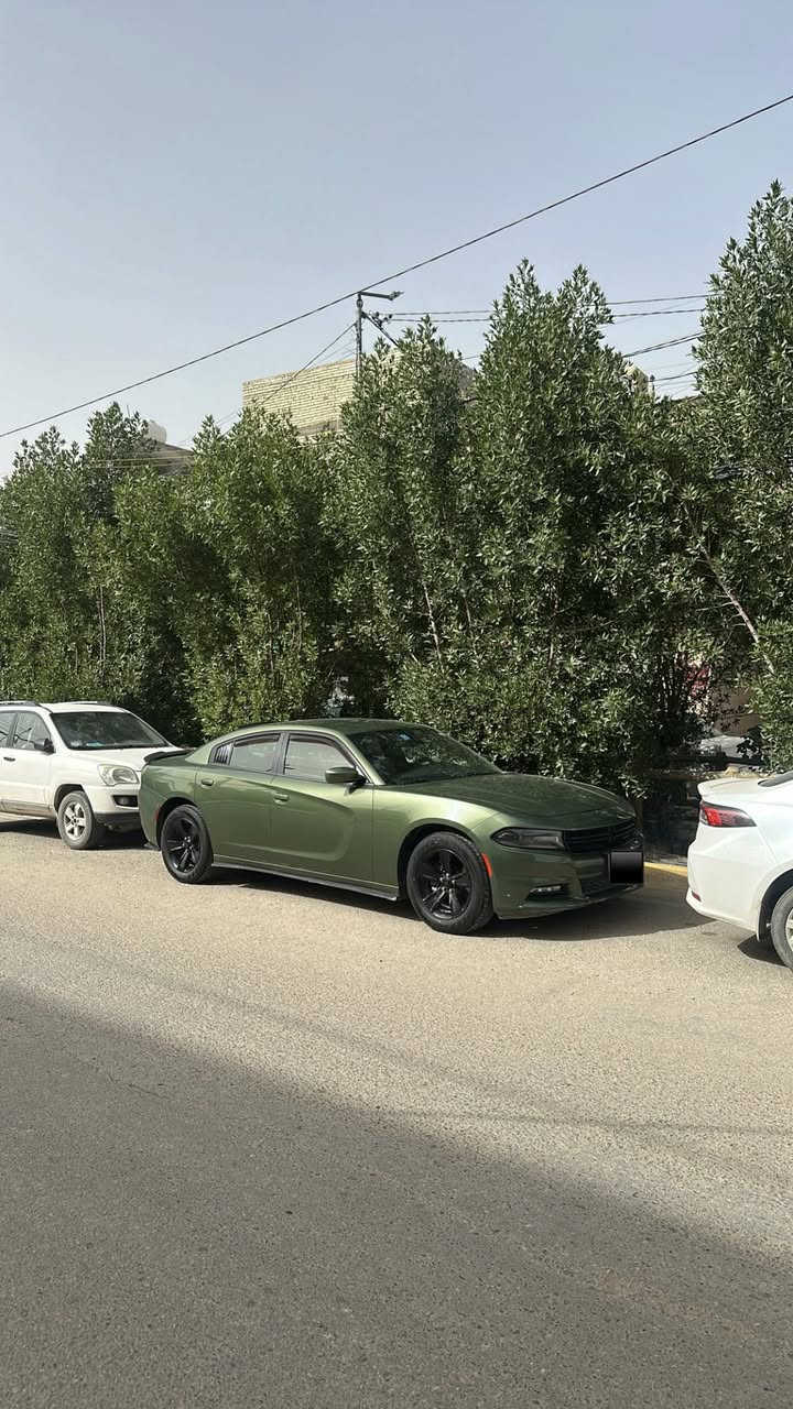 بسم الله ما اشاء الله
للبيع فقط 
دوج جارجر 2019 sxt v6 وارد خليجي
لون مميز زيتوني
رقم بغداد سنوية باسمي الرقم الجديد تحويل ثاني يوم
ماشيه 120 كيلو
الحادث صبغ جاملغ خلف الراكب
وبارد جاملغ السائق ضربه خفيفه
السونار موجود  
بدون ايرباك شاصي ولغود كفالة
دوشمة وحدادية وتبريد وتايرات جديد
مواصفات sxt معروفة
السيارة جاهزة ما بيها اي نقص وكلش معتني بيها من بانزين وزيت

رايدها ب 257 بيها مجال كلش بسيط 
مكاني بغداد الدورة
***********
