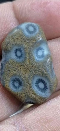 قطعه نادره للبيع داوودي  07703289938