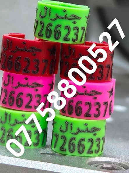 حجل طيرك وبسعار تنافسيه وشغل مضمون 👇❤️ حجول  وتوصيل لكل العراق والخبره بلعمل
من رخصت لمشرفين تريد حجل اصلي  ❤️ يوجد لدينا كل ماهو جديد عمل جميع  انواع حجول رابطه ستندر بنواعها حمام اللوت والزاجل والرافل والحمر وتور تيدي وطيور الزينه وباقي الطيور  بكافة انواعها  المغرد جاوه وبلابل  وفجانس وكناري وبادجي هاجرمو  وكوكتيل والدره وغندور وروز والحمام الملكي  ودجاج ومختلف النوعيات الالوان والموديلات حسب طلب الزبون الحجول والقياسيات موجوده بنواعها وتلبيس لطيور الكبار موجود حسب الطلب
الموثق والمفتوح وقراصات و المنيوم مفتوح الشغل درجة أولى حفر ليزر وحجول  والطيور بانواعها ملاحظه يوجد لدينا حجول زينه تراجي وحجل جرس خرخاشه واشرات وباقي الحجول بنواعها لكافه لطيور توجد خدمه توصيل لباب لبيت لجميع المحافظات العراق 🚕🚕 بسعر مناسب جدا للحجز مراسلة الصفحه او واتساب📱📞او الاتصال علئ الرقم او وتساب ملاحظه خبره بلعمل أكثر من 10 سنوات احذر التقليد 😍 لاتنسه لايك ومتابعه للحساب هدفنا تطوير الهوايه ولطيور لتعارف 😘 

***********
***********
