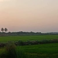 قطعه ارض للبيع المساحه 8 دونم طابو زراعي بيها ابيوت عدد 2  سند 25 واجه...