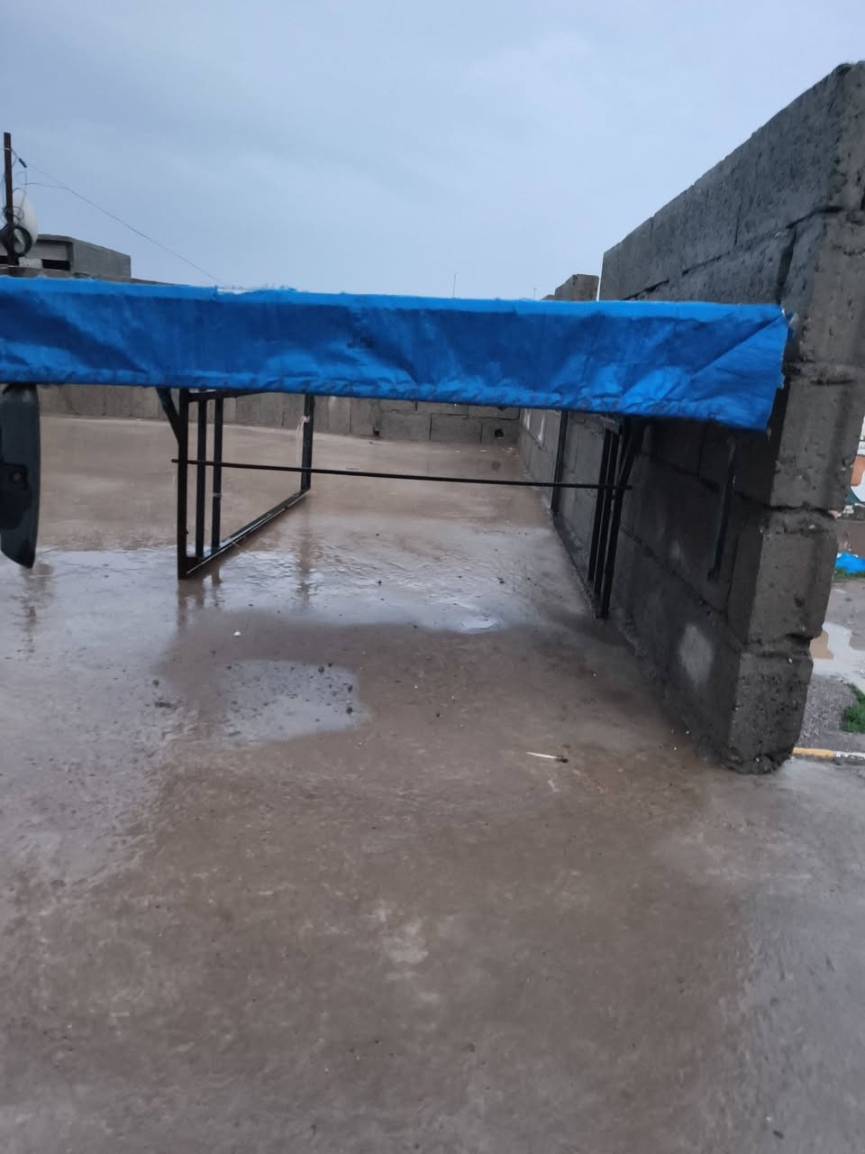 سلام عليكم جنج للبيع بدون كسر بدون فطر حيل نضيف وبوري قوي سعر 70 بي مجال لشراي الصفاحيات مال جنج موجوده حته الباب الخلفي موجود


**إذا كنت صاحب هذا الإعلان وتريد حذفه لأي سبب، رجاءا أرسل رسالة إلى الدعم الفني**