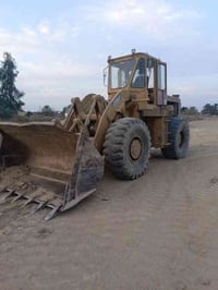 شفل كاوسكي • موديل ٧٩ • حجم ٧٠