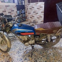 ايراني تايجر • موديل 2024 • نقص ضفيره