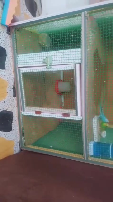 @الجميع


**إذا كنت صاحب هذا الإعلان وتريد حذفه لأي سبب، رجاءا أرسل رسالة إلى الدعم الفني**
